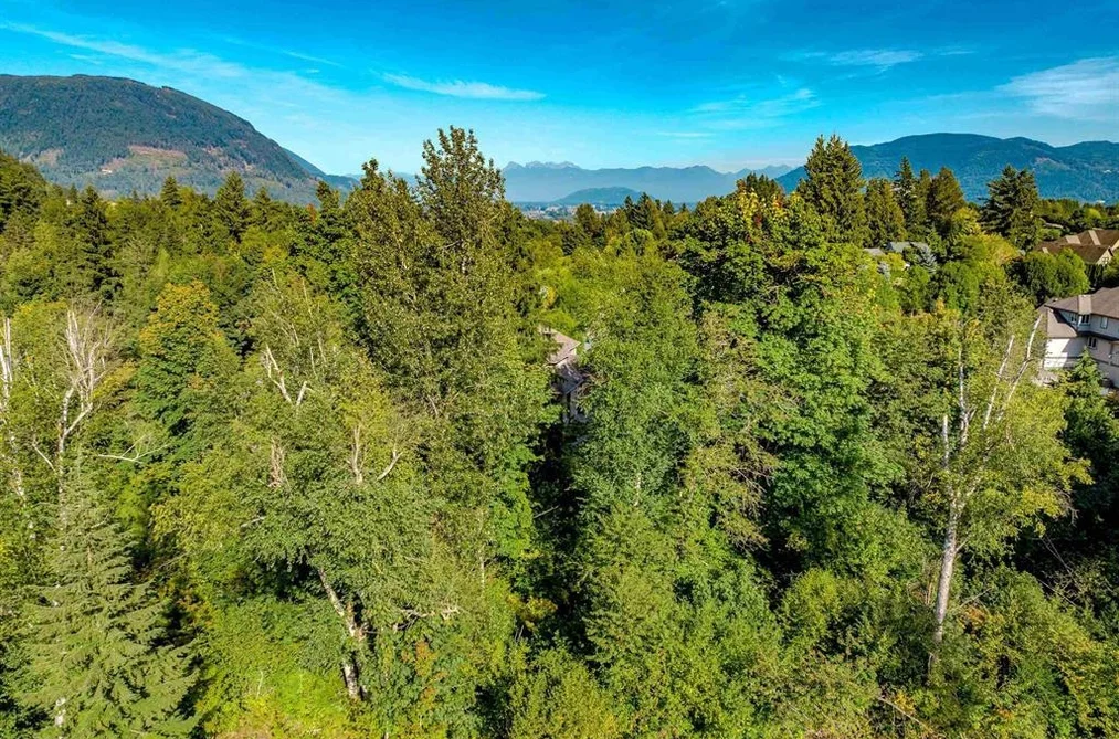 8768 HITCH TERRACE, Mission BC V2V 6V4, Mission BC — Land for Sale - Photo 4