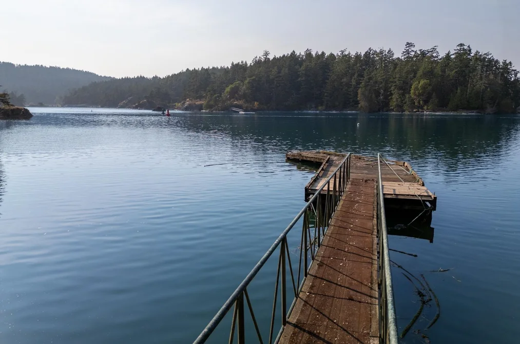 8807 AINSLIE POINT ROAD, Pender Island BC V0N 2M3, Pender Island BC — Residential for Sale - Photo 5