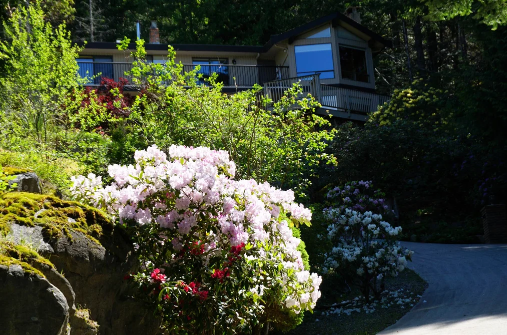 8846 REDROOFFS ROAD, Halfmoon Bay BC V7Z 1B2, Halfmoon Bay BC — Residential for Sale - Photo 5