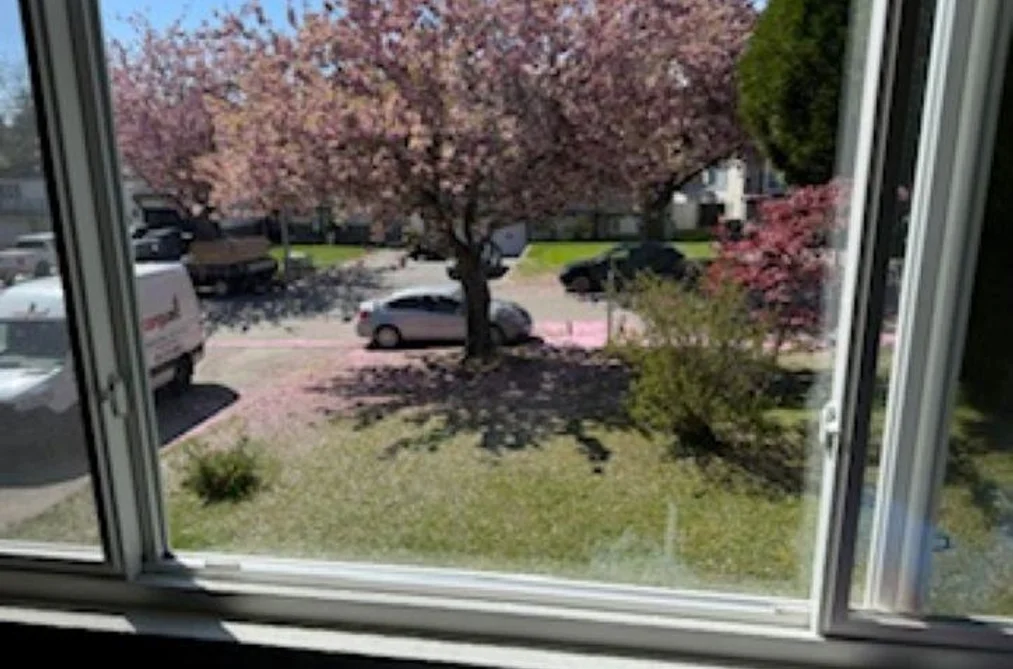 8868 ROSLIN PLACE, Surrey BC V3V 6L8, Surrey BC — Residential for Sale - Photo 3
