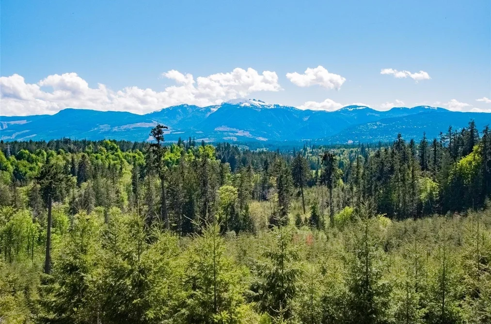 88AC MEMORY LANE, No City Value BC V9K 2A9, No City Value BC — Land for Sale - Photo 3