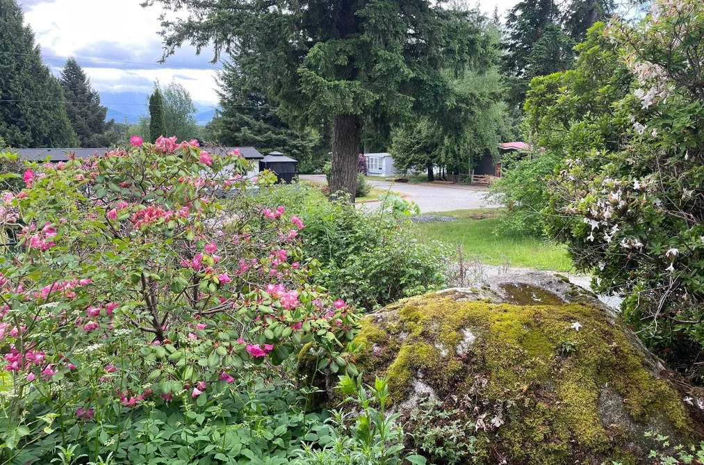89 43201 LOUGHEED HIGHWAY, Mission BC V0M 1G0, Mission BC — Residential for Sale - Photo 3