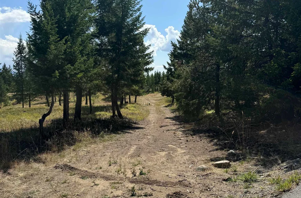 891 RAVEN HILL ROAD, No City Value BC V3H 1V6, No City Value BC — Land for Sale - Photo 2