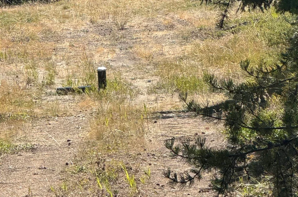 891 RAVEN HILL ROAD, No City Value BC V3H 1V6, No City Value BC — Land for Sale - Photo 3