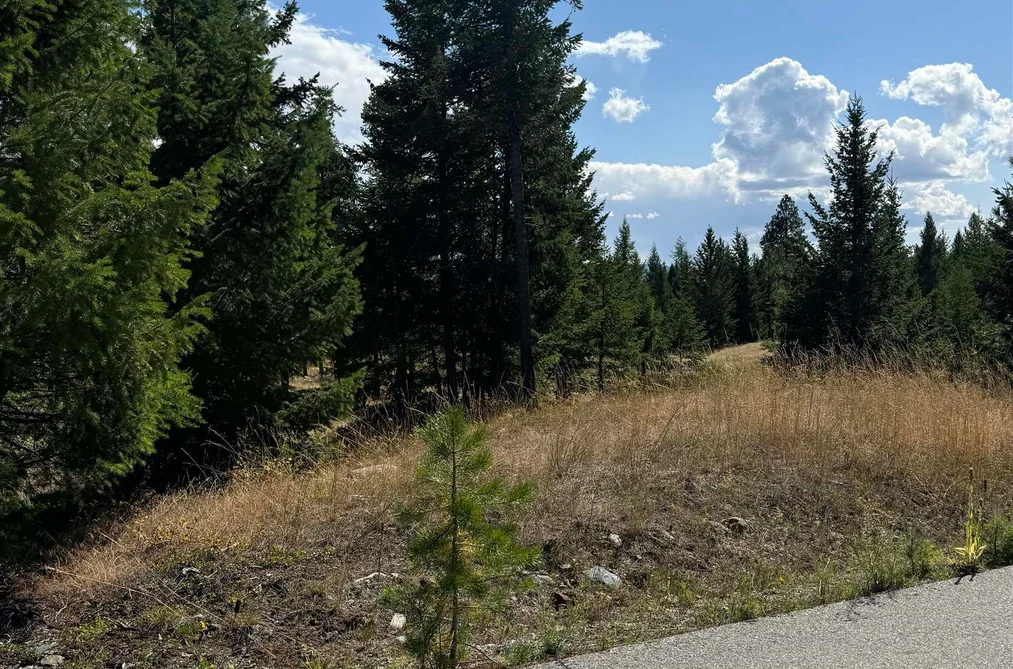 891 RAVEN HILL ROAD, No City Value BC V3H 1V6, No City Value BC — Land for Sale - Photo 4