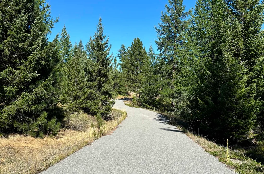 891 RAVEN HILL ROAD, No City Value BC V3H 1V6, No City Value BC — Land for Sale - Photo 5