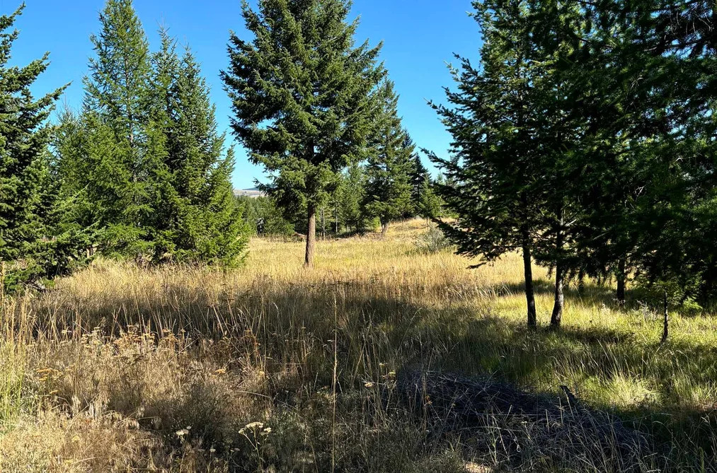 891 RAVEN HILL ROAD, No City Value BC V3H 1V6, No City Value BC — Land for Sale - Photo 6