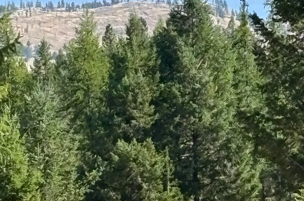 891 RAVEN HILL ROAD, No City Value BC V3H 1V6, No City Value BC — Land for Sale - Photo 7