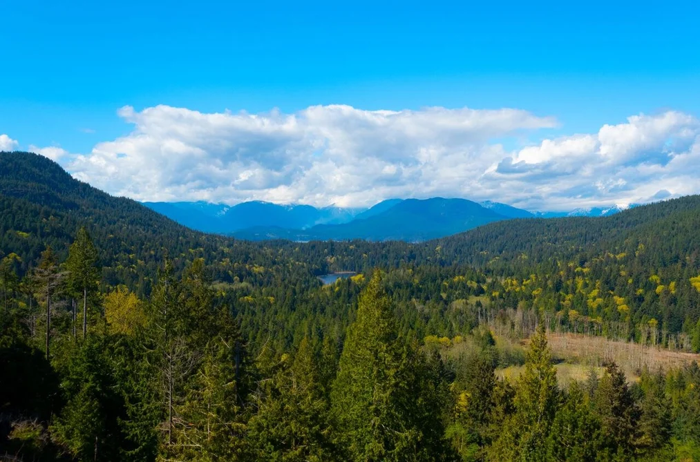897 RIVENDELL DRIVE, Bowen Island BC V0N 1G1, Bowen Island BC — Residential for Sale - Photo 7