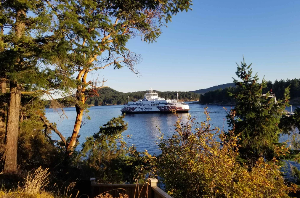 House for sale at 90 Gulf Drive Galiano Island British Columbia - MLS: R3129062