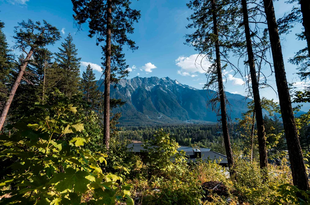 Property for sale at 9000 Sun God Mountain Way Pemberton British Columbia - MLS: R3039710