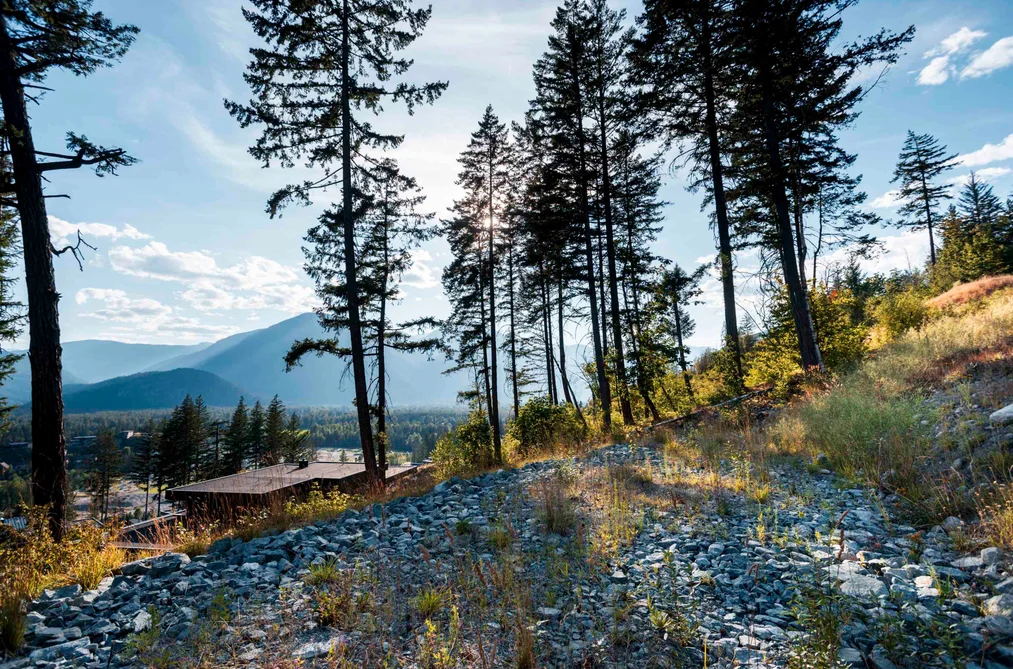 9000 SUN GOD MOUNTAIN WAY, Pemberton BC V0N 2L3, Pemberton BC — Land for Sale - Photo 2