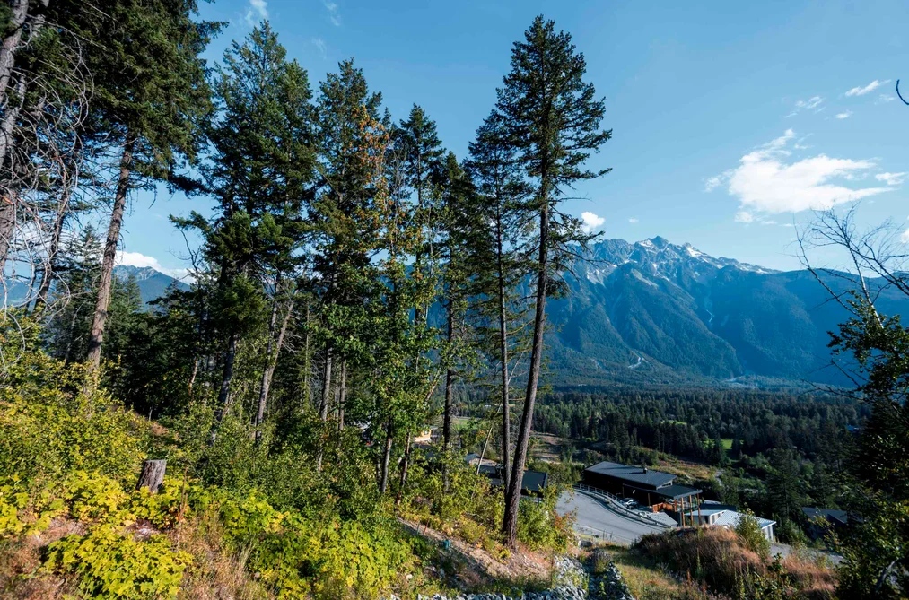 9000 SUN GOD MOUNTAIN WAY, Pemberton BC V0N 2L3, Pemberton BC — Land for Sale - Photo 3