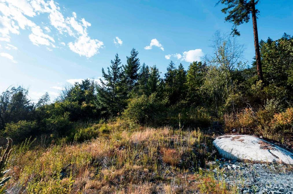 9002 SUN GOD MOUNTAIN WAY, Pemberton BC V0N 2L3, Pemberton BC — Land for Sale - Photo 3
