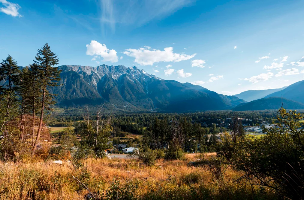9002 SUN GOD MOUNTAIN WAY, Pemberton BC V0N 2L3, Pemberton BC — Land for Sale - Photo 4