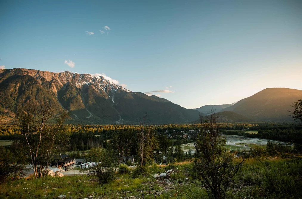 9002 SUN GOD MOUNTAIN WAY, Pemberton BC V0N 2L3, Pemberton BC — Land for Sale - Photo 5