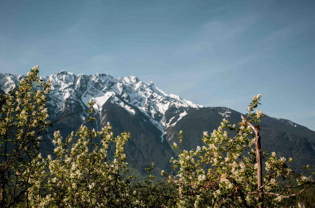 9002 SUN GOD MOUNTAIN WAY, Pemberton BC V0N 2L3, Pemberton BC — Land for Sale - Photo 7