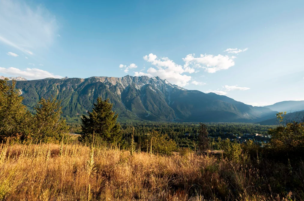 Property for sale at 9004 Sun God Mountain Way Pemberton British Columbia - MLS: R3039729