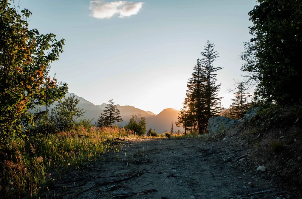9004 SUN GOD MOUNTAIN WAY, Pemberton BC V0N 2L3, Pemberton BC — Land for Sale - Photo 7
