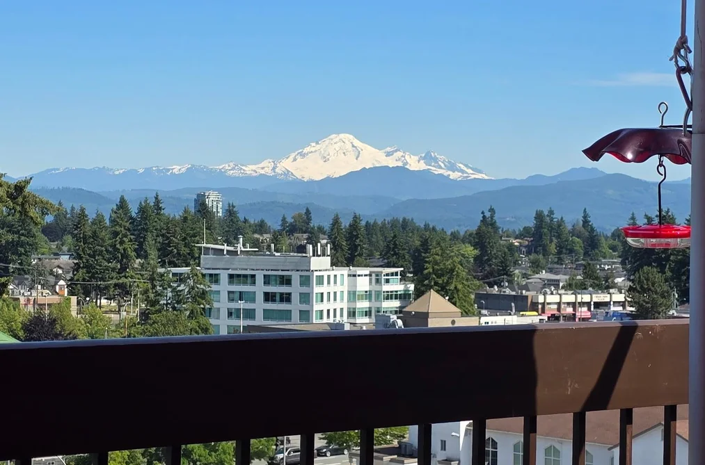 903 31955 OLD YALE ROAD, Abbotsford BC V2T 4N1, Abbotsford BC — Residential for Sale — Photo 24 of 24