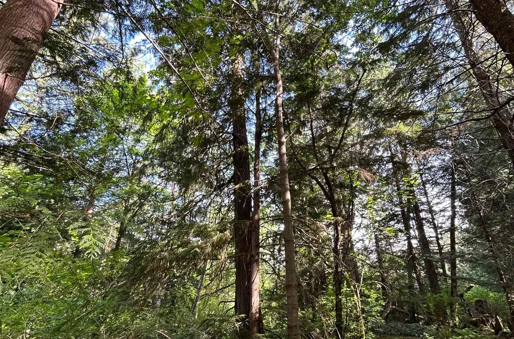 Manufactured On Land for sale at 9063 Paradise Valley Road Squamish British Columbia - MLS: R3093402