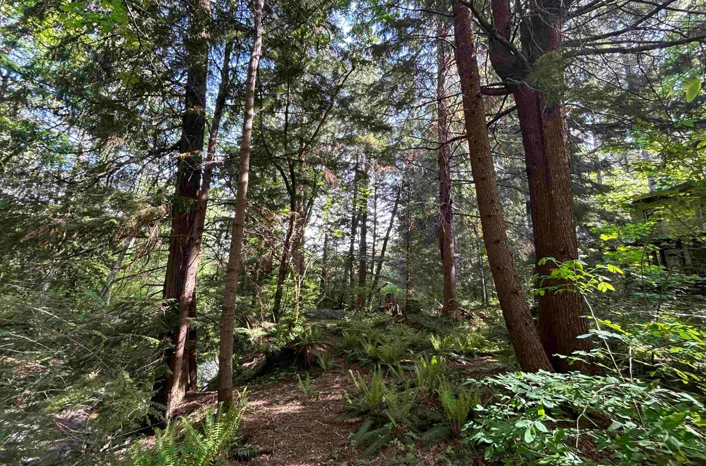 9063 PARADISE VALLEY ROAD, Squamish BC V0N 1H0, Squamish BC — Residential for Sale - Photo 4