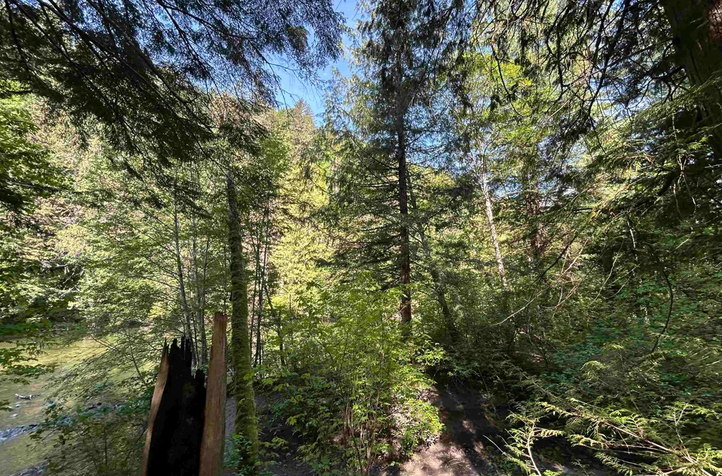 9063 PARADISE VALLEY ROAD, Squamish BC V0N 1H0, Squamish BC — Residential for Sale - Photo 5