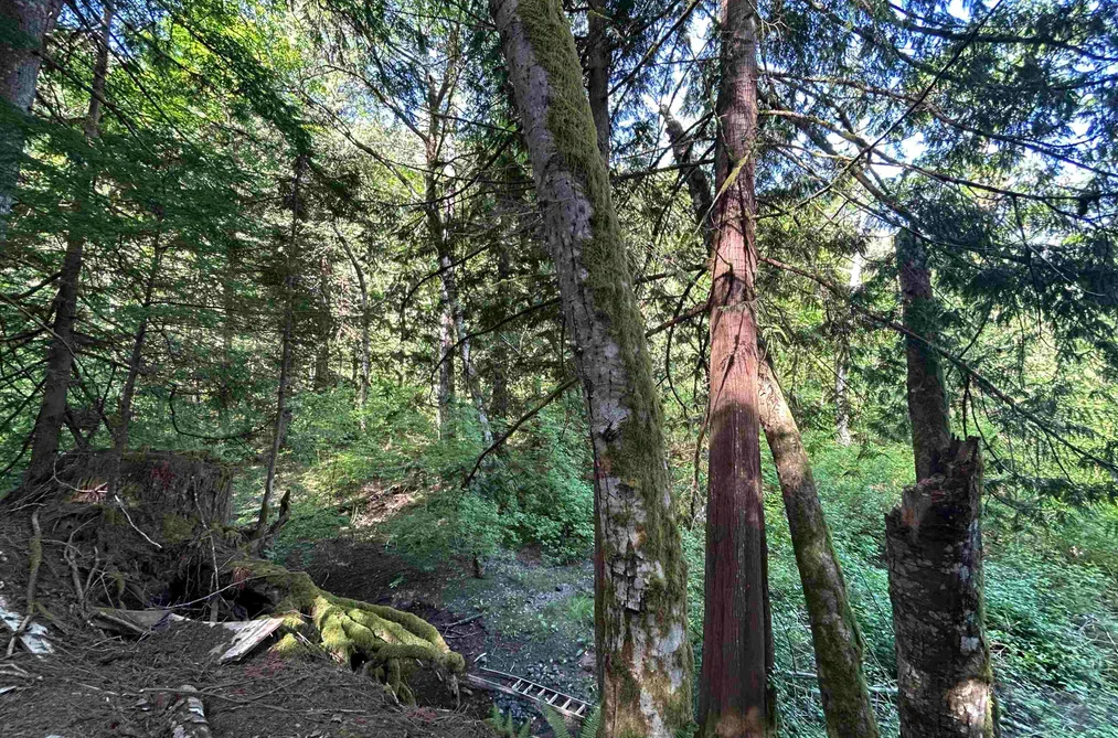 9063 PARADISE VALLEY ROAD, Squamish BC V0N 1H0, Squamish BC — Residential for Sale - Photo 7