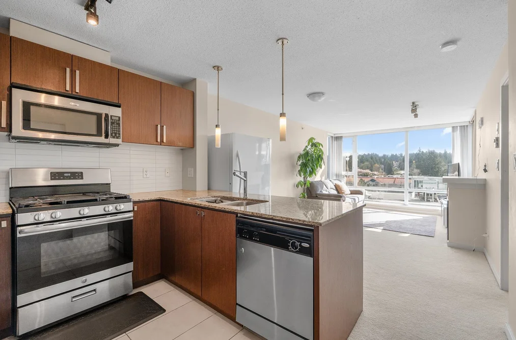 909 9888 CAMERON STREET, Burnaby BC V3J 0A4, Burnaby BC — Residential for Sale - Photo 4