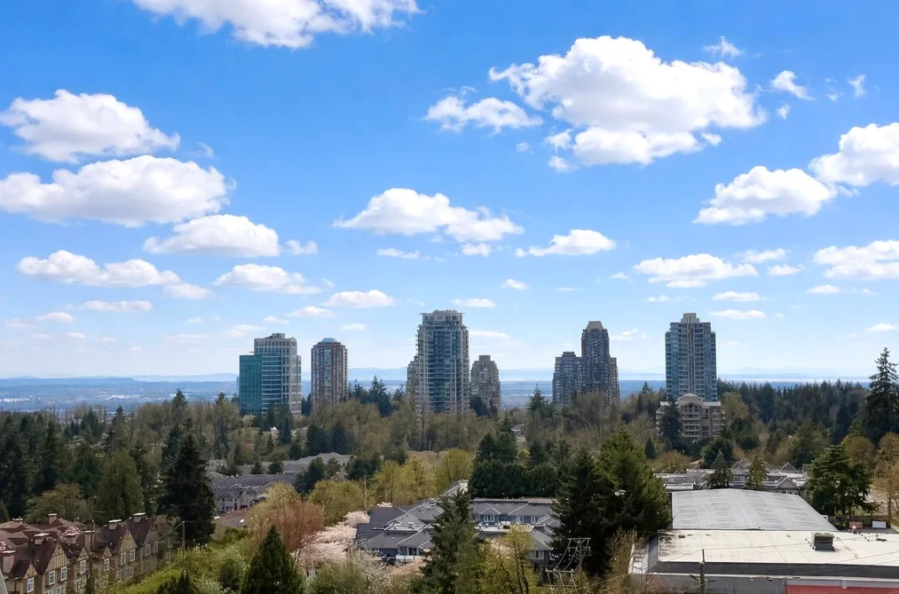 911 7388 KINGSWAY, Burnaby BC V3N 0G9, Burnaby BC — Residential for Sale - Photo 2