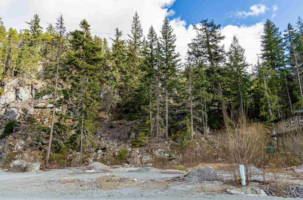9112 CORDUROY RUN COURT, Whistler BC V8E 1M1, Whistler BC — Land for Sale - Photo 4