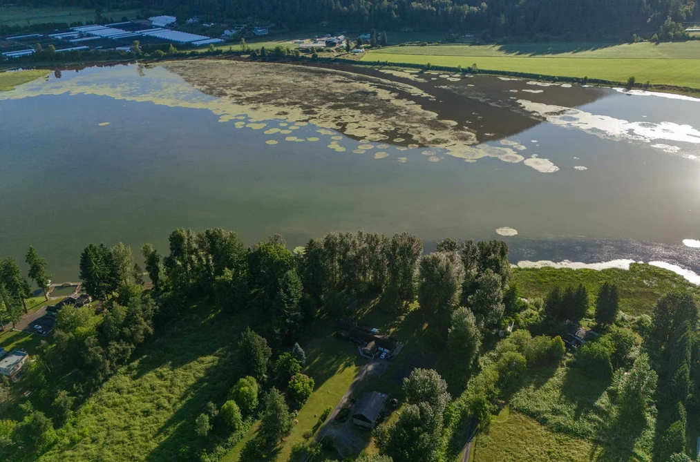 House for sale at 9172 Shook Road Mission British Columbia - MLS: R3137685
