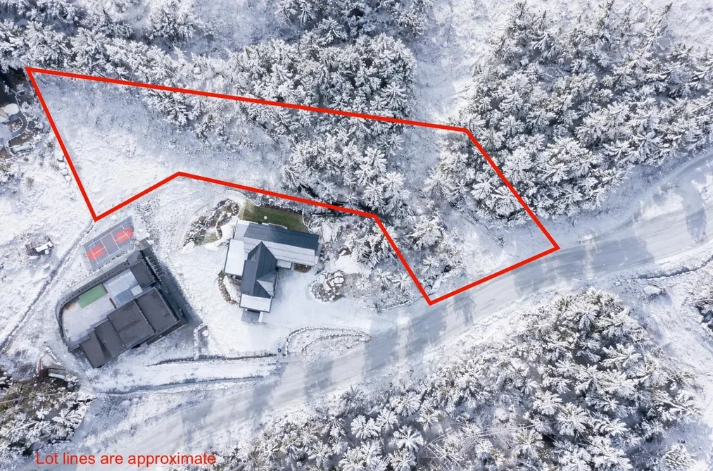 9220 WEDGEMOUNT PLATEAU DRIVE, Whistler BC V8E 1M1, Whistler BC — Land for Sale - Photo 2