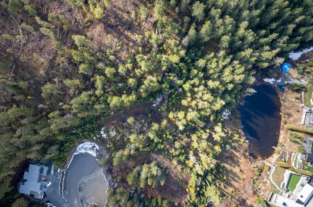9285 SISKIN STREET, Whistler BC V8E 1M1, Whistler BC — Land for Sale - Photo 3