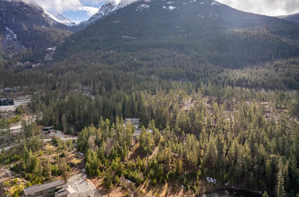 9285 SISKIN STREET, Whistler BC V8E 1M1, Whistler BC — Land for Sale - Photo 6