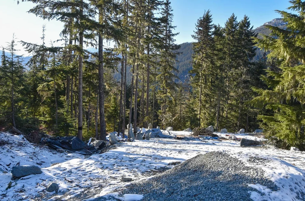 9325 WARBLER WAY, Whistler BC V8E 1M1, Whistler BC — Land for Sale - Photo 6