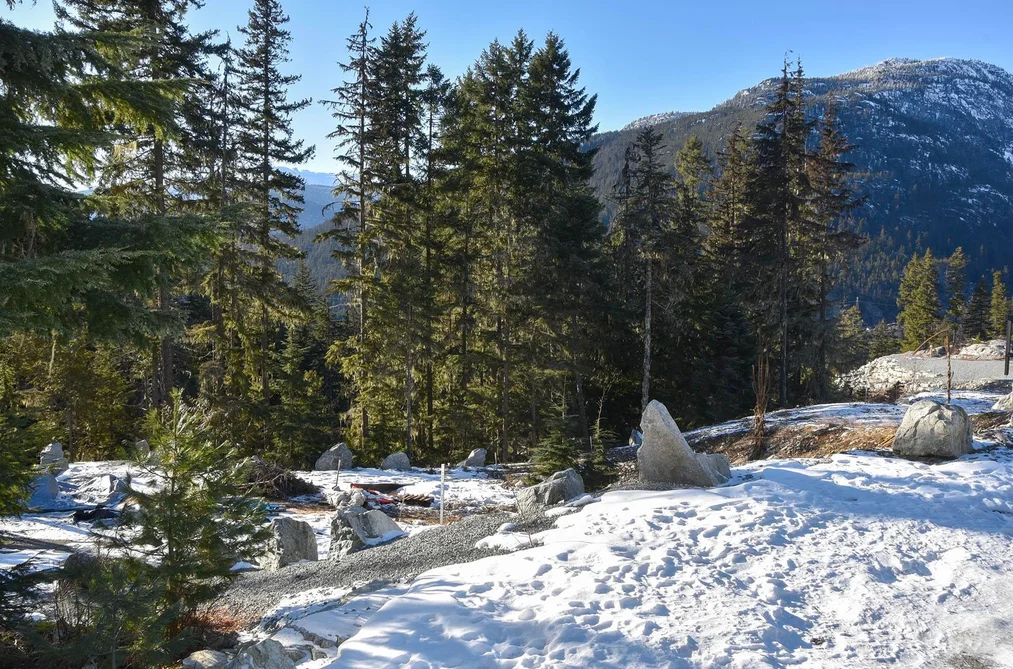 9325 WARBLER WAY, Whistler BC V8E 1M1, Whistler BC — Land for Sale - Photo 7