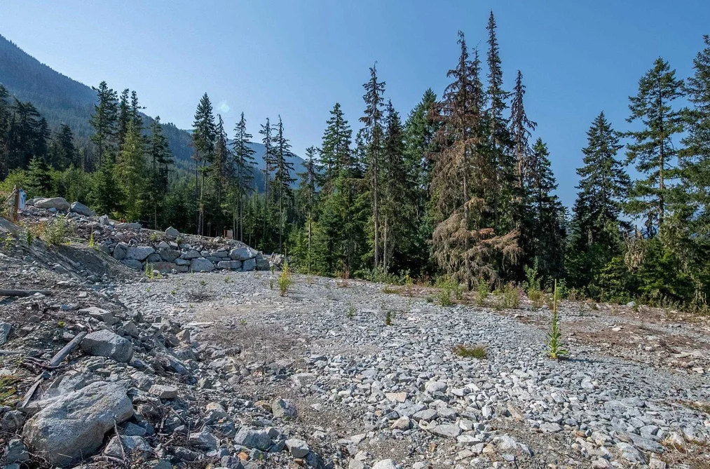 9329 WARBLER WAY, Whistler BC V8E 1M1, Whistler BC — Land for Sale - Photo 4