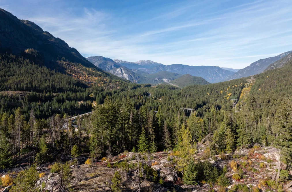 9366 WEDGEMOUNT PLATEAU DRIVE, Whistler BC V8E 1M1, Whistler BC — Land for Sale - Photo 2