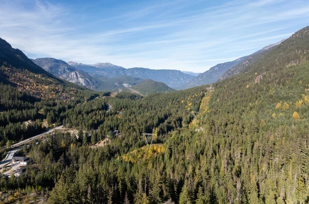 9366 WEDGEMOUNT PLATEAU DRIVE, Whistler BC V8E 1M1, Whistler BC — Land for Sale - Photo 3