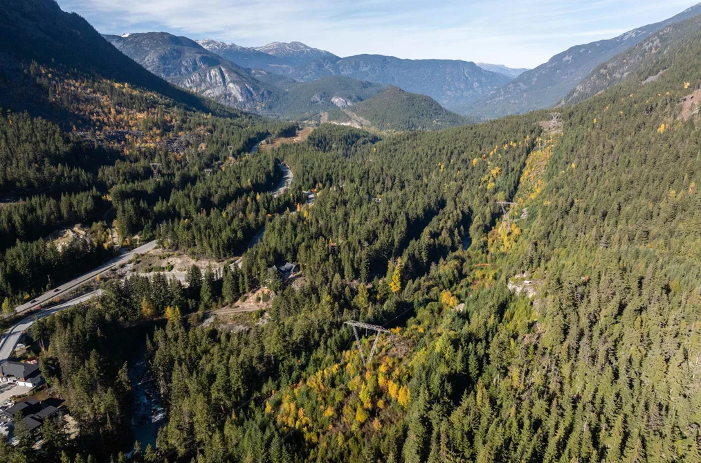 9366 WEDGEMOUNT PLATEAU DRIVE, Whistler BC V8E 1M1, Whistler BC — Land for Sale - Photo 4