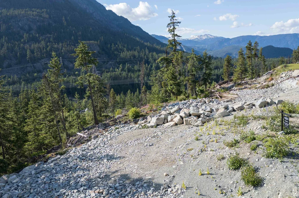 9377 FLICKER WAY, Whistler BC V8E 1M1, Whistler BC — Land for Sale - Photo 5