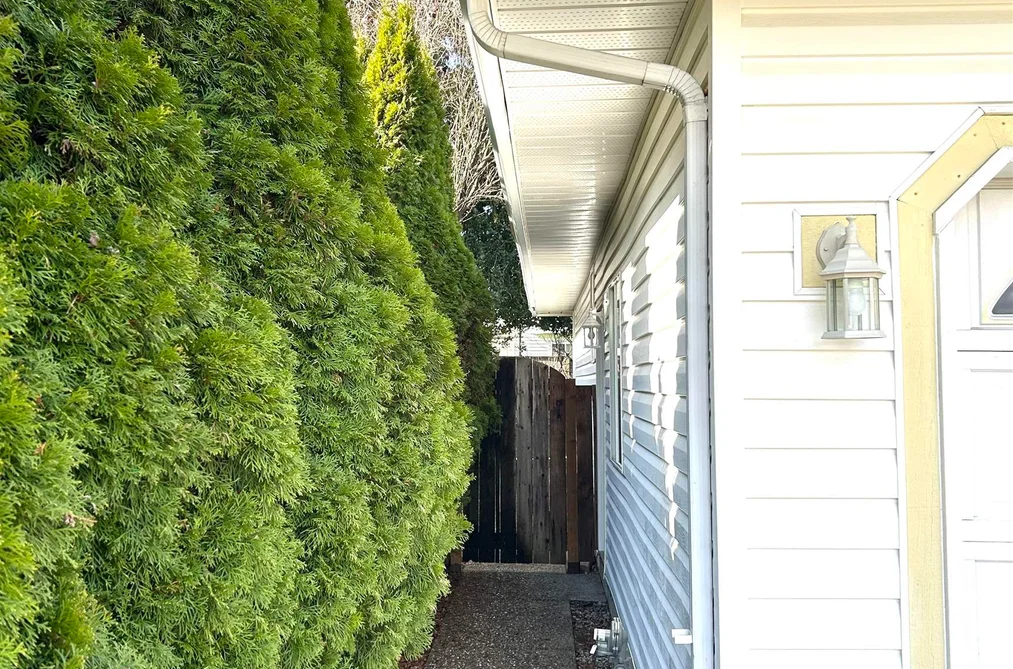 9419 159 STREET, Surrey BC V4N 3B9, Surrey BC — Residential for Sale - Photo 5