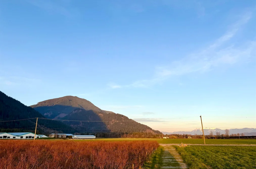 Property for sale at 9445 Catherwood Road Mission British Columbia - MLS: R3121510