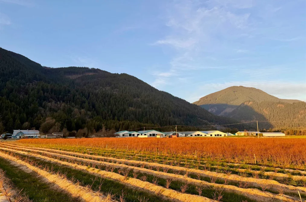 9445 CATHERWOOD ROAD, Mission BC V0M 1H0, Mission BC — Land for Sale - Photo 3