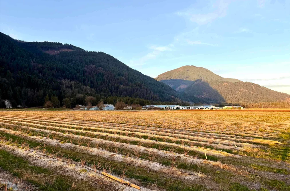 9445 CATHERWOOD ROAD, Mission BC V0M 1H0, Mission BC — Land for Sale - Photo 4