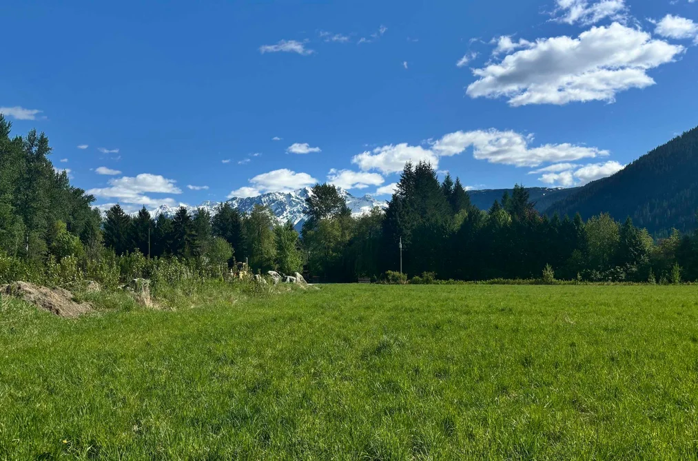 945 ERICKSON ROAD, Pemberton BC V0N 2L2, Pemberton BC — Residential for Sale - Photo 6