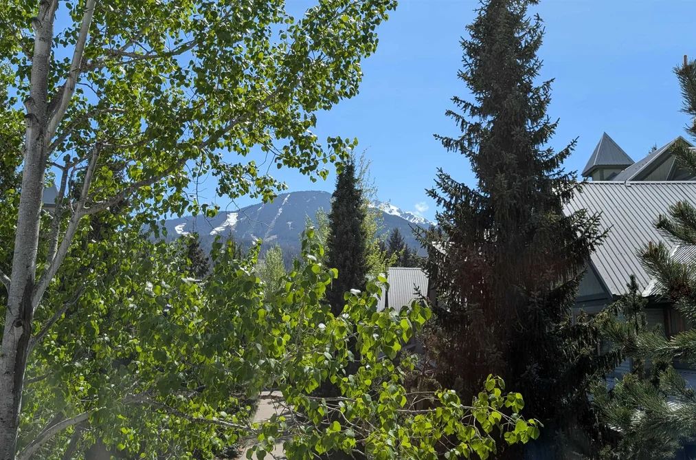 96 4355 NORTHLANDS BOULEVARD, Whistler BC V8E 1C3, Whistler BC — Residential for Sale - Photo 5