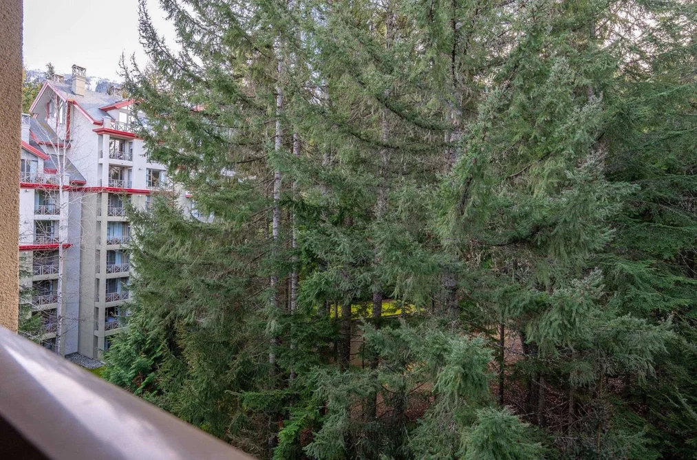 972 4090 WHISTLER WAY, Whistler BC V8E 1J3, Whistler BC — Residential for Sale - Photo 7