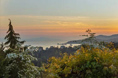 982 Braeside St, West Vancouver, BC - MLS: R3172006